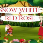 Snow-White-And-Red-Rose