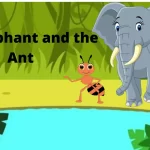 the-elephant-and-the-ant