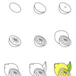 How-to-draw-a-Lemon