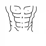 how-to-draw-a-abs