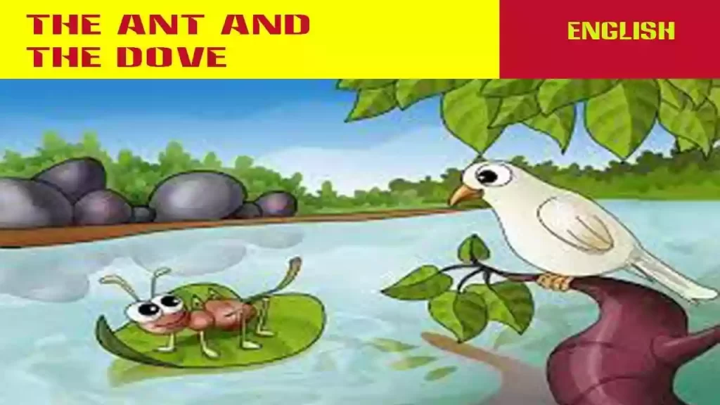 The-Ant-and-The-Dove-_-Moral-Story-for-Childrens-in-English