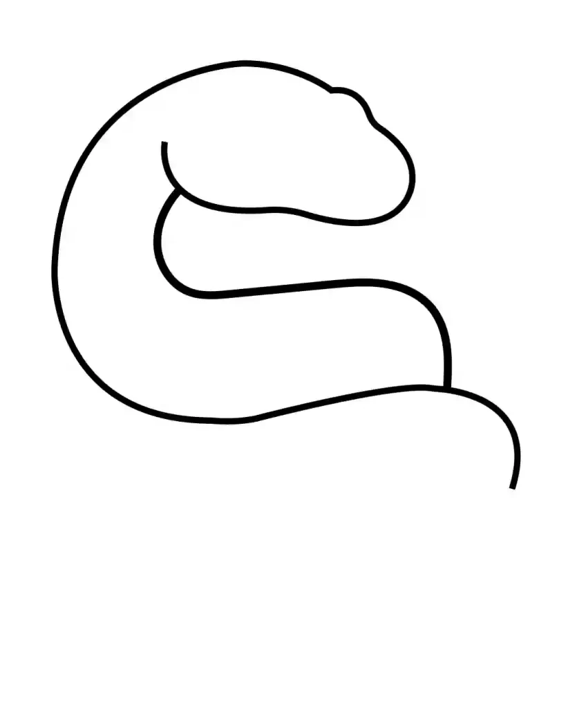 how-to-draw-snake-in-simple-and-easy-steps