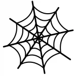 How to Draw Spider web in simple and easy steps for beginners