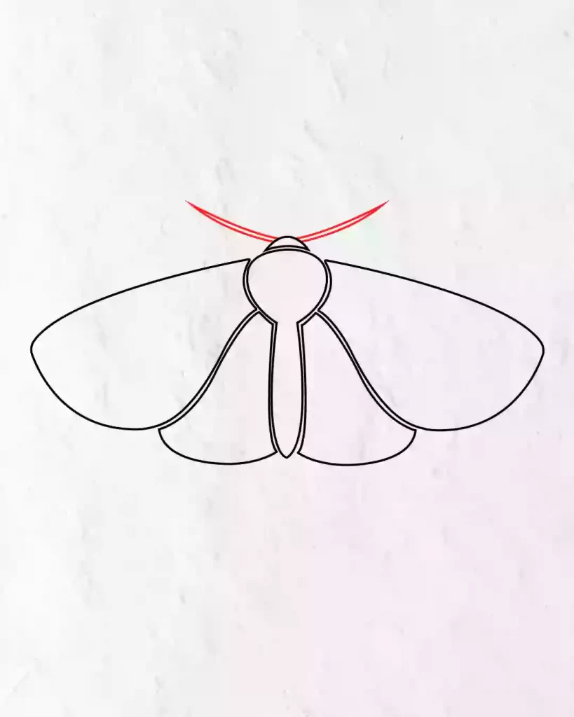 How-to-Draw-a-Simple-Moth-in-Simple-Step-by-step-guide
