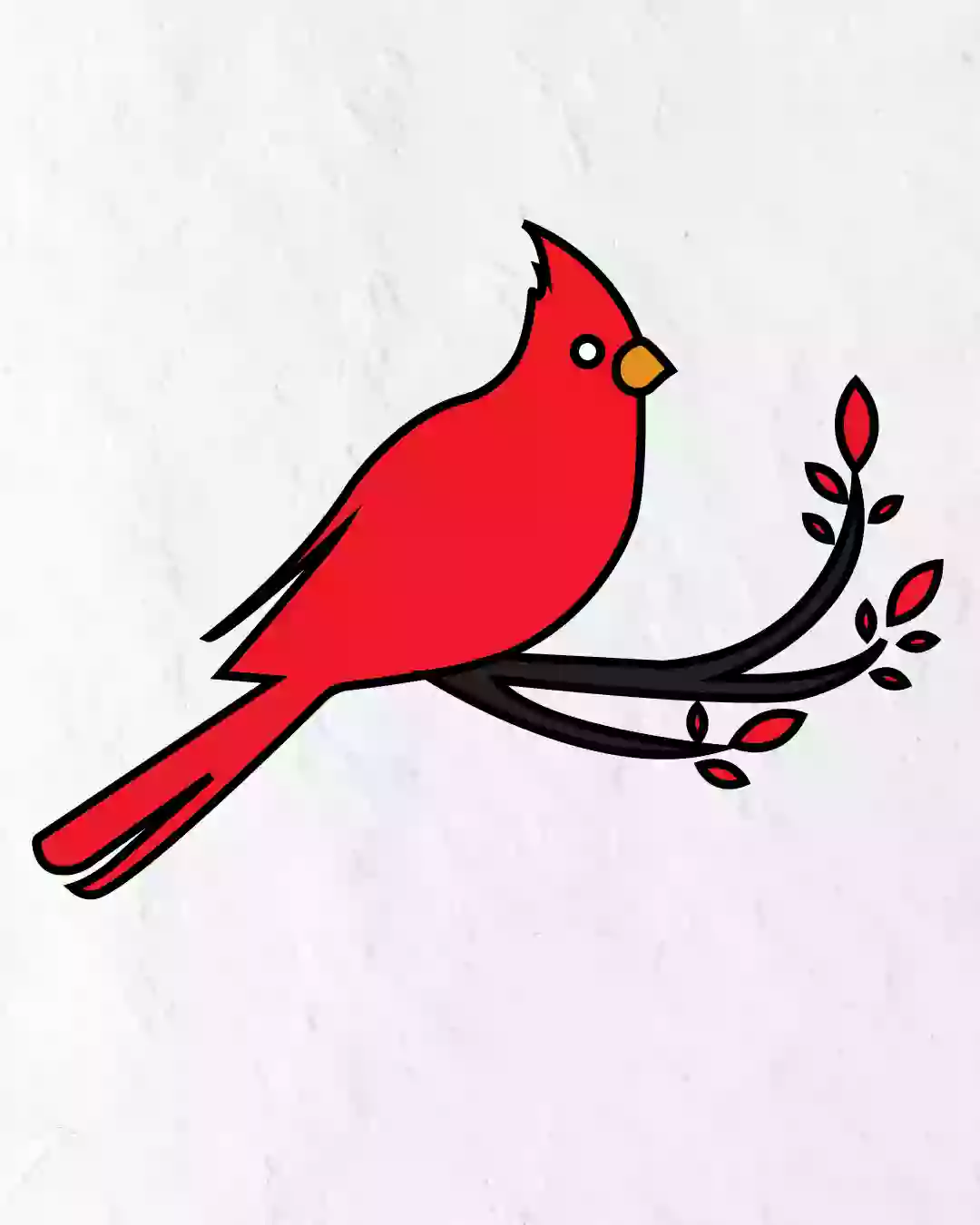 Read more about the article How to Draw Cardinal in simple steps guide