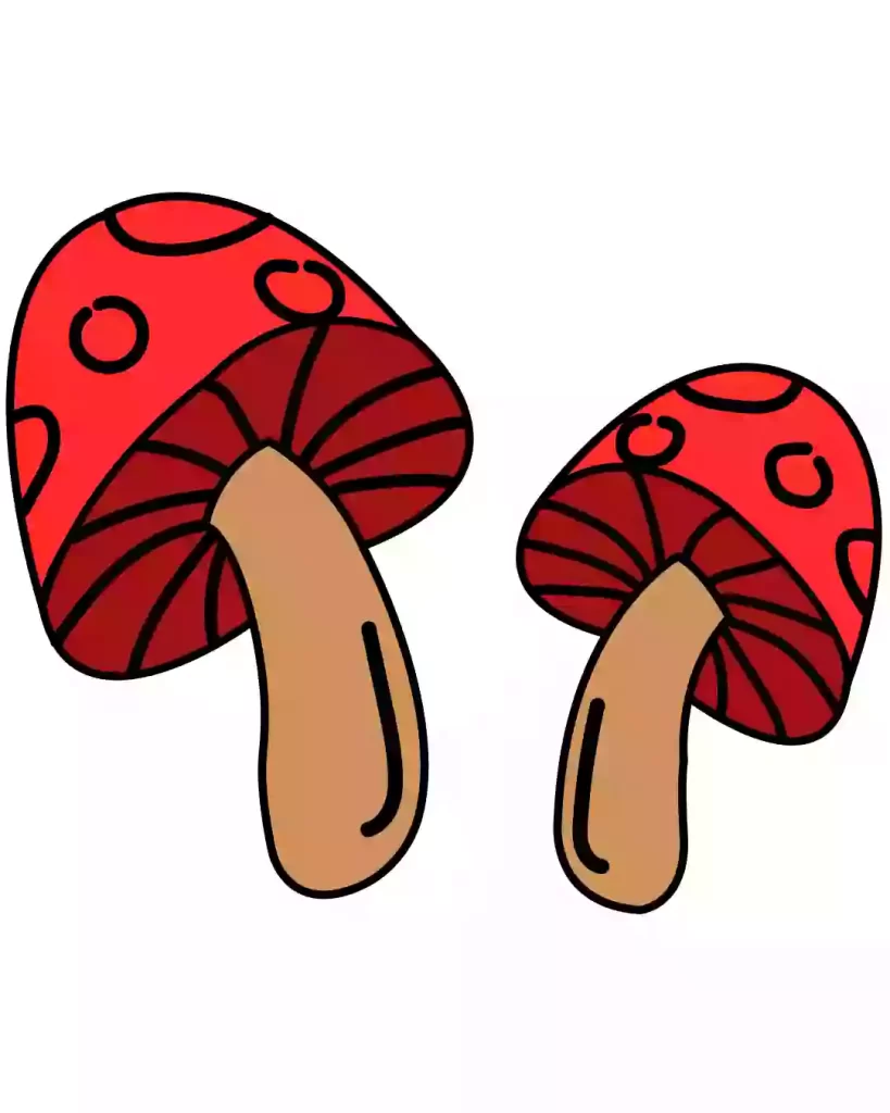 mushroom drawings