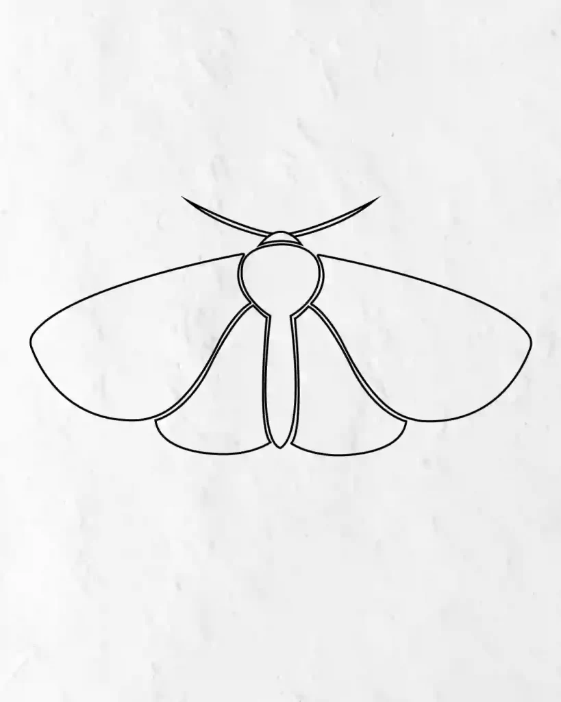 How-to-Draw-a-Simple-Moth-in-Simple-Step-by-step-guide
