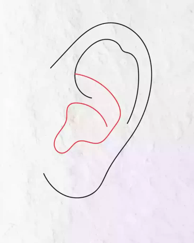 How-to-Draw-Ear-in-Simple-and-easy-steps
