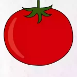 how-to-draw-tomato-in-simple-and-easy-steps-guide