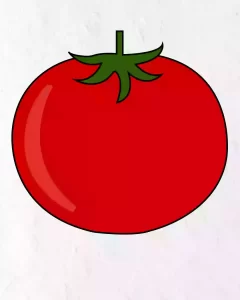 Read more about the article How to Draw Tomato in Simple and easy steps guide