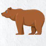 how-to-draw-brown-bear-in-simple-and-easy-steps