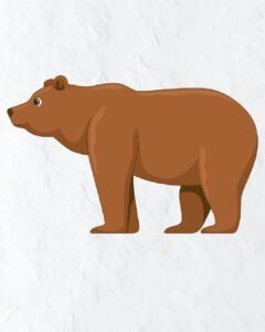 Read more about the article How to Draw Brown Bear in simple and easy steps