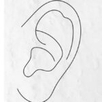 How-to-Draw-Ear-in-Simple-and-easy-steps