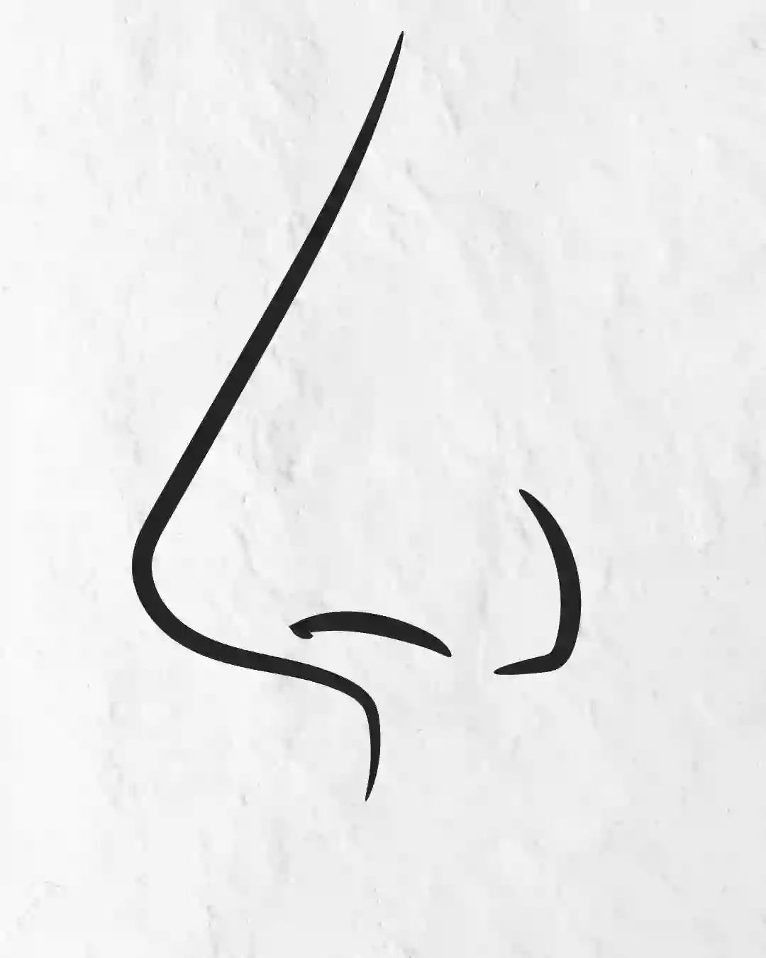 Learn How To Draw A Nose Step By Step