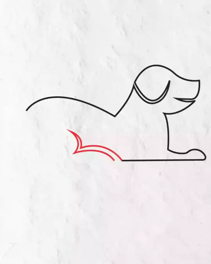 How-to-Draw-Dog-in-8-eas- Steps-Easy-Drawing
