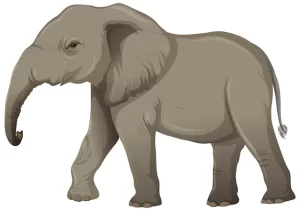 Read more about the article Essay on Elephants for Students and kids