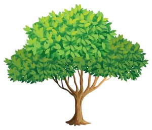Read more about the article Tree Essay in English for Kids