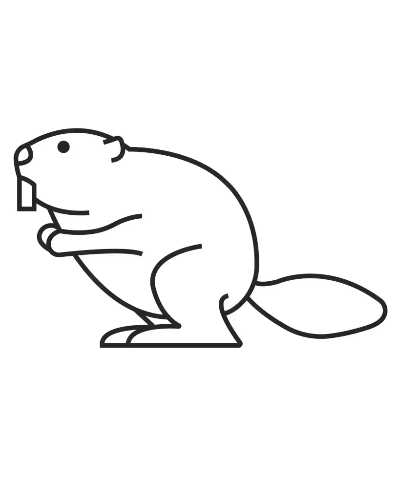 How-To-Draw-a-Beaver