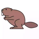 How-To-Draw-a-Beaver