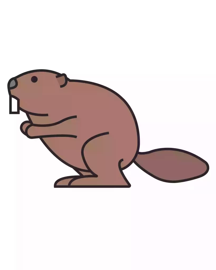 How To Draw A Beaver StepbyStep Storiespub