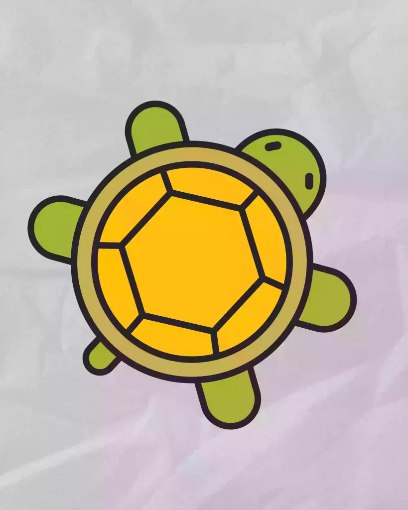 how to draw a chibi turtle