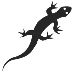 How-to-Draw-Lizard