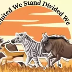 United-We-Stand-Divided-We