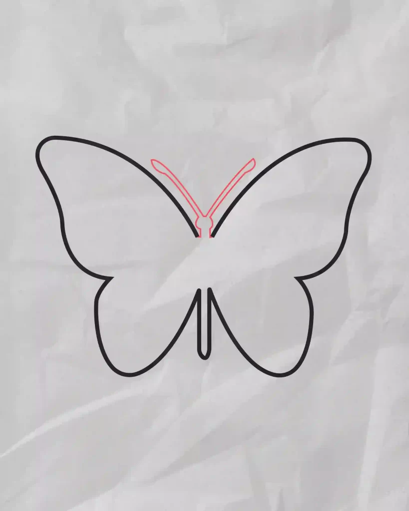 How-to-Draw-a-Butterfly