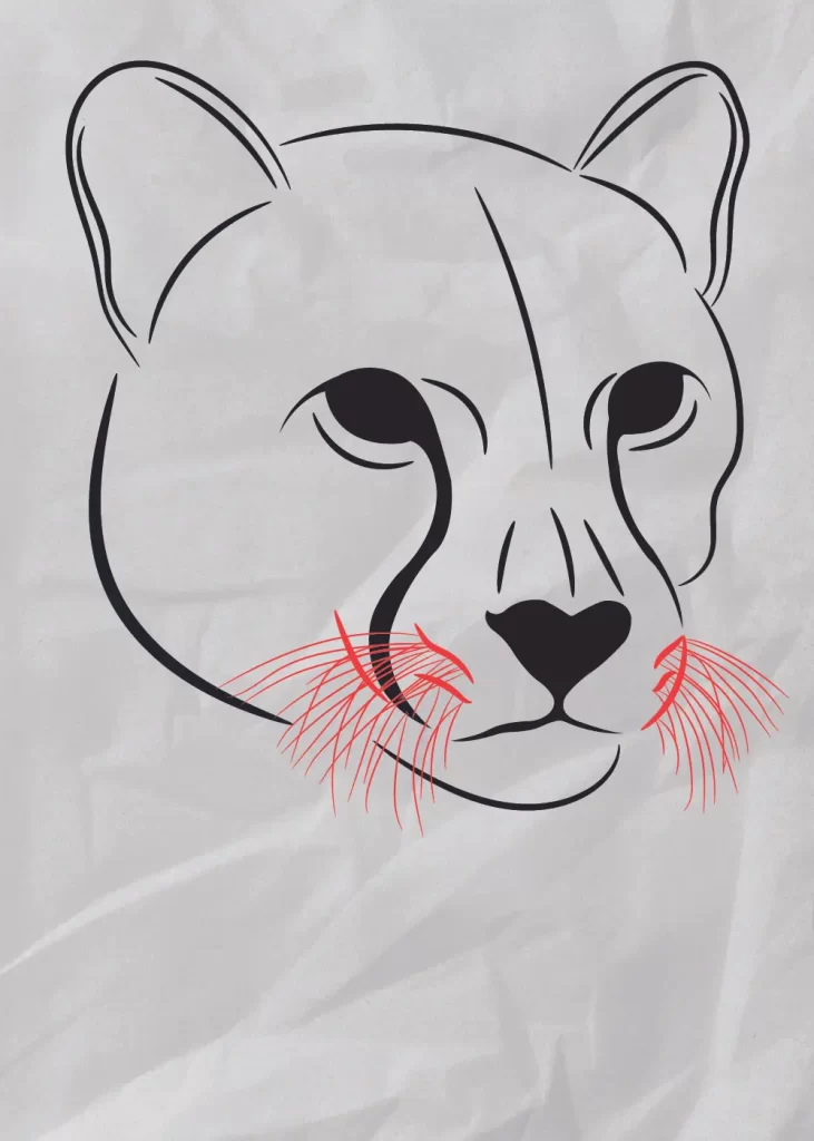 How-To-Draw-A-Cheetah