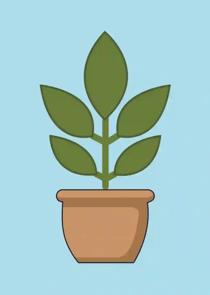 pot plant drawing