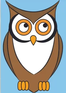Read more about the article How to Draw an Owl – Step by Step