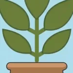 How to Draw a Potted Plant