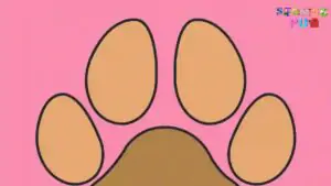 Read more about the article How to Draw a Dog Paw Print – Step by Step