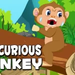 Curious-Monkey