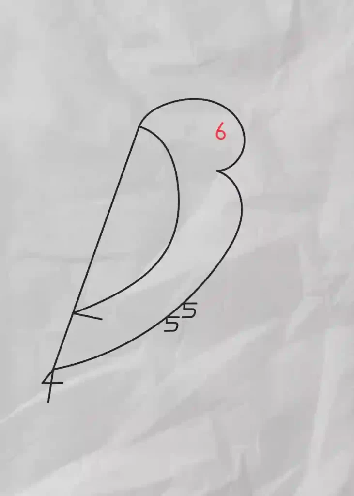 How-to-Draw-A-Bird