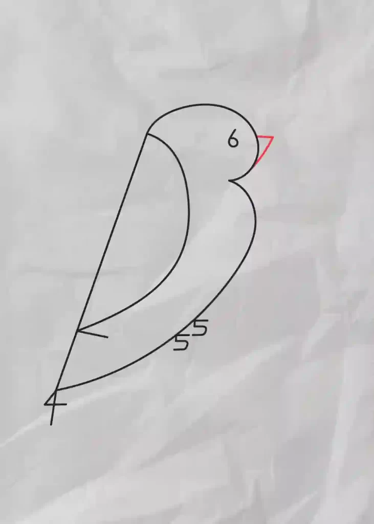 How-to-Draw-A-Bird