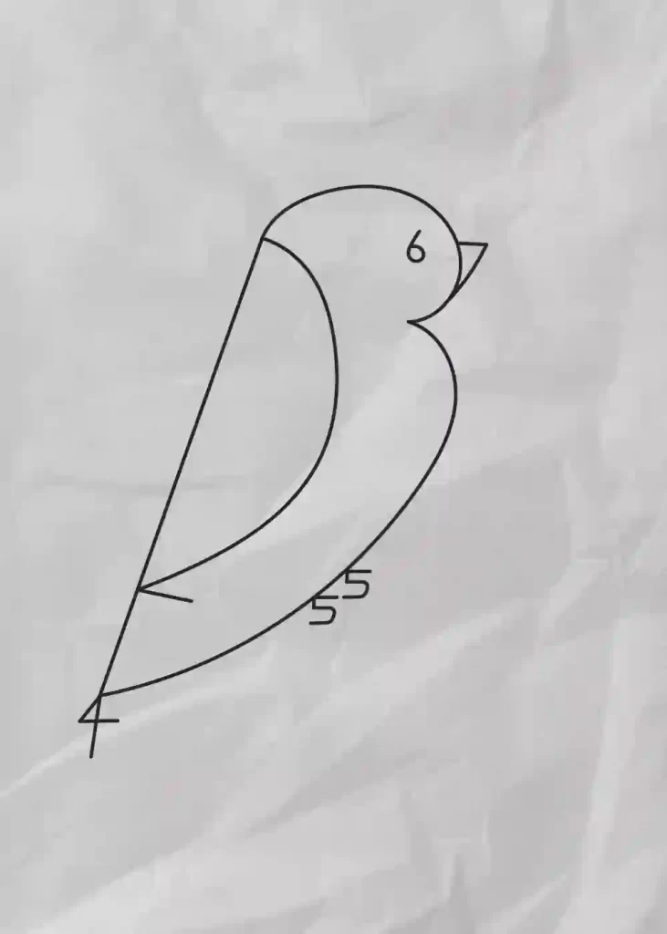 How-to-Draw-A-Bird