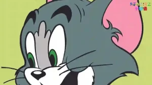 Read more about the article How To Draw Tom From Tom And Jerry