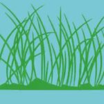 How-to-Draw-Grass