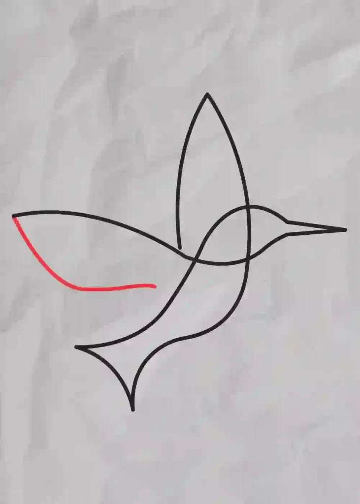 How-to-Draw-One-line-Bird-step-10