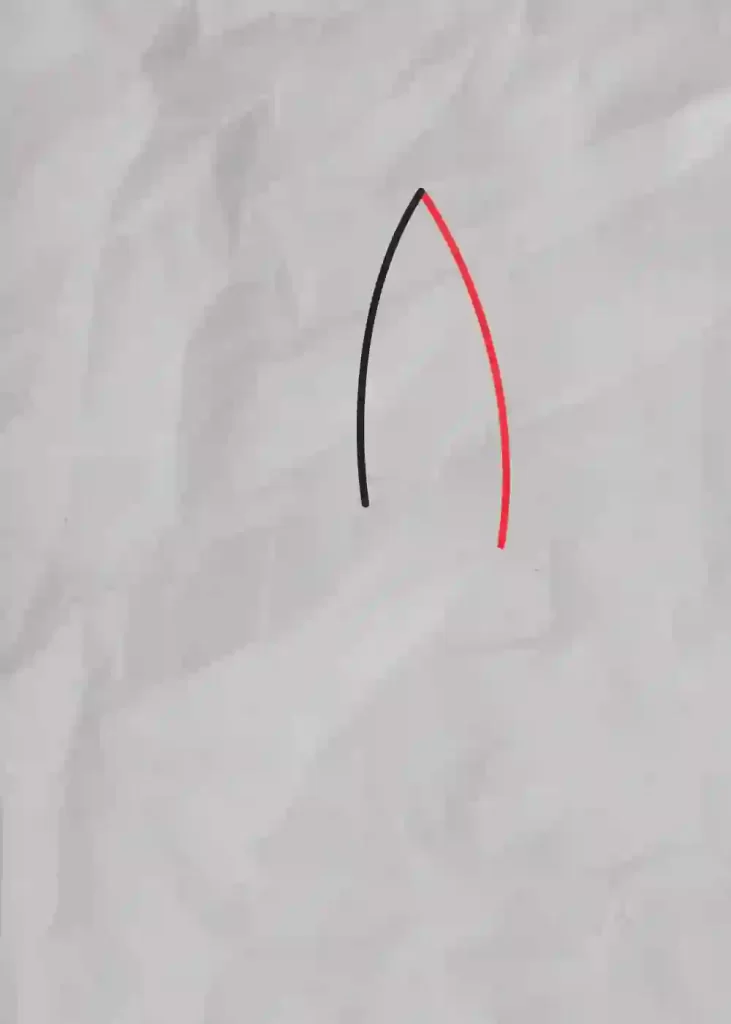 How-to-Draw-One-line-Bird-step-2