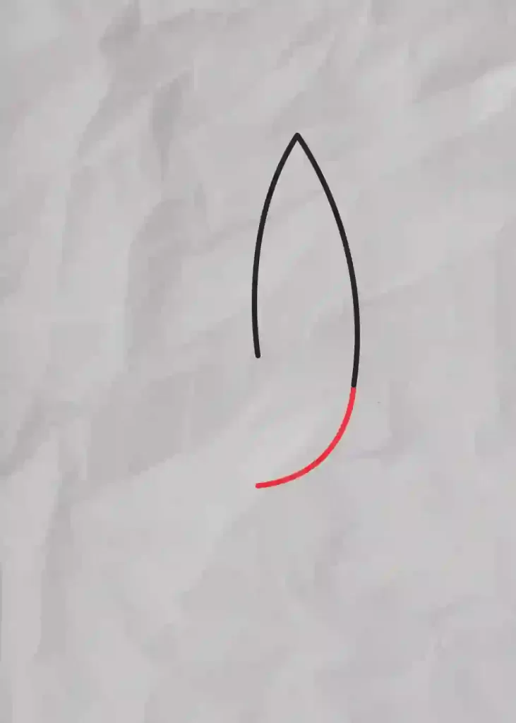 How-to-Draw-One-line-Bird-step-3