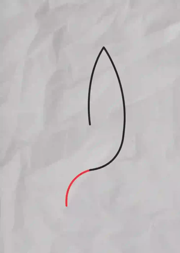 How-to-Draw-One-line-Bird-step-4