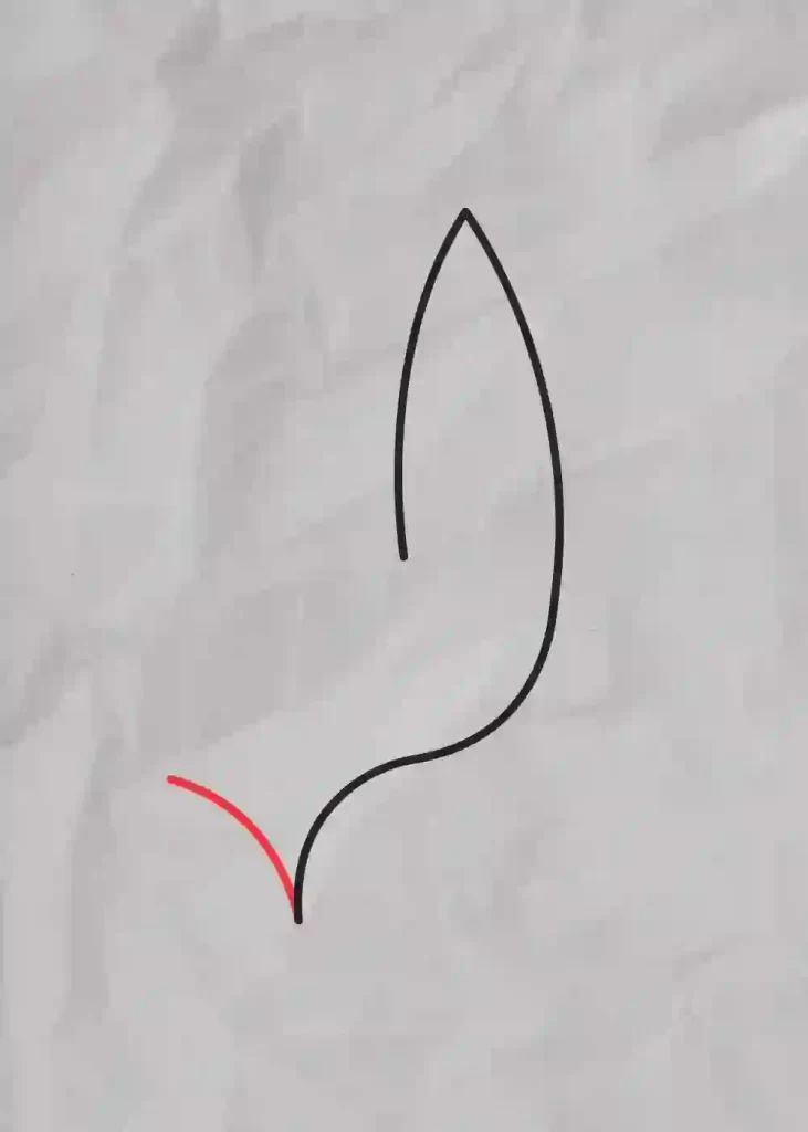 How-to-Draw-One-line-Bird-step-5