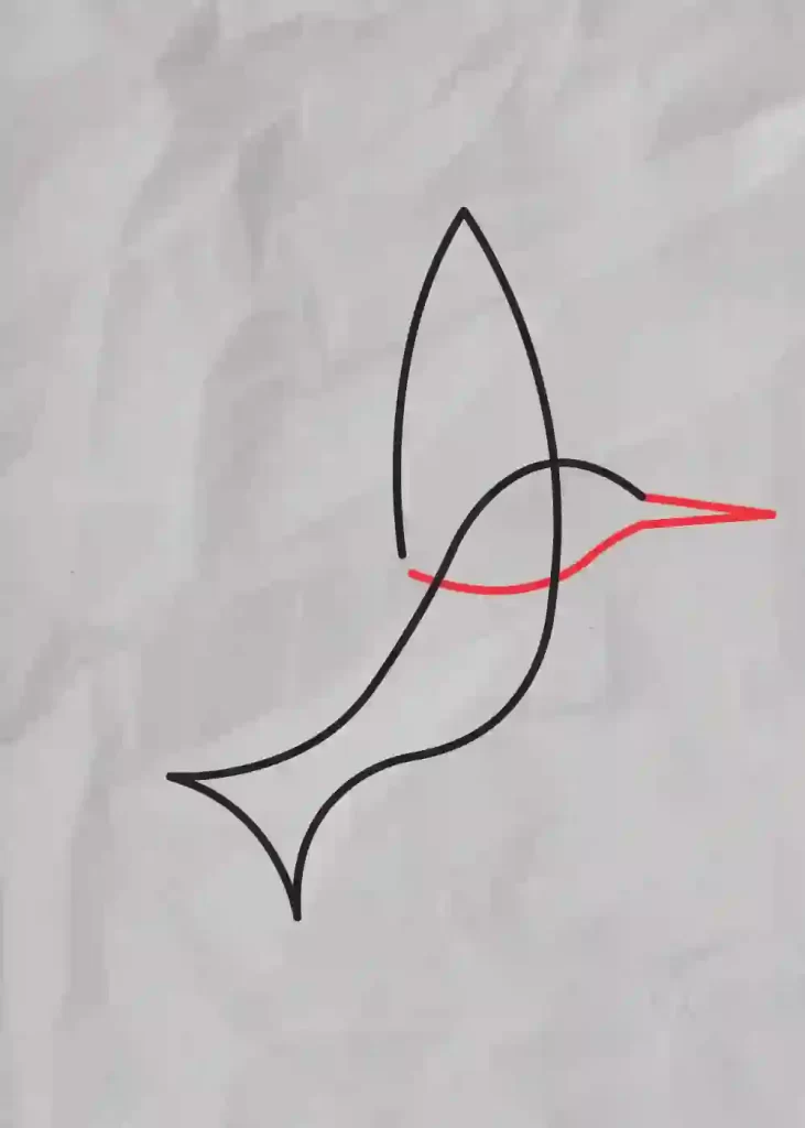 How-to-Draw-One-line-Bird-step-8