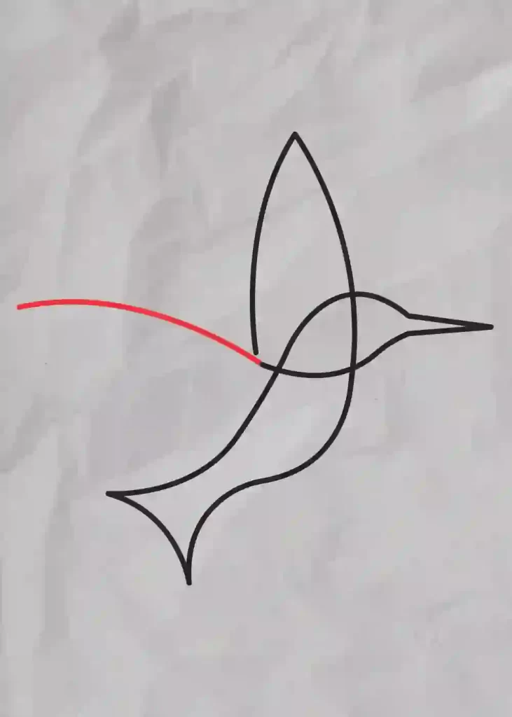 How-to-Draw-One-line-Bird-step-9
