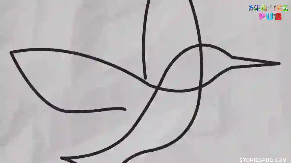 How-to-Draw-One-line-Bird