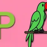 How-To-Draw-A-Parrot