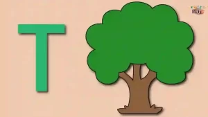 Read more about the article How To Draw A Tree – A to Z Alphabet Drawing