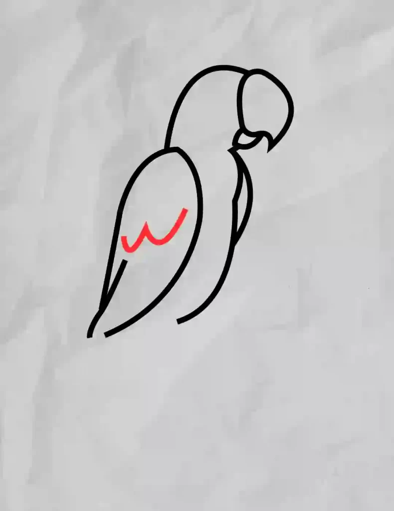 How-To-Draw-A-Parrot